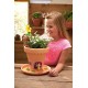 My Fairy Garden Lilypad Gardens
