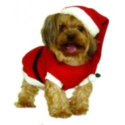Dogs and Co Christmas Fancy Dress Costumes for Dogs Santa Outfit, 14