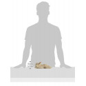 Steiff 22cm Little Friend Lamb Linda Wool (White)