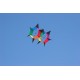HQ Kites HQ Box Kite (Roto)