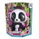 IMC Club Petz