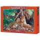 Castorland Jaguars in The Jungle Jigsaw (3000