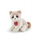 Trudi 20872&nbsp;Kitten Brad Plush (24&nbsp;cm, White/Beige