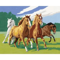 Ravensburger 28374 3 Wild Horses Paint by Numbers Kit