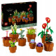 LEGO Botanicals 10329 Miniatúrne rastliny