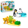 LEGO DUPLO 10442 Rodinky divokých zvierat: Tučniaky a levy