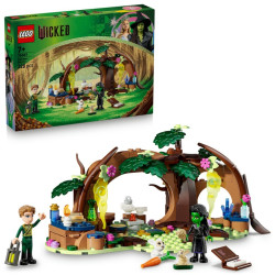 LEGO Wicked 75687 Elphaba a jej úkryt