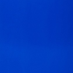AmazonBasics 16 oz Disposable Plastic Cups (240 Pack), Blue