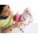Barbie FTF02 Dreamhorse Doll and horse