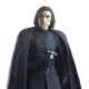 STAR WARS The Black Series Kylo Ren Figure