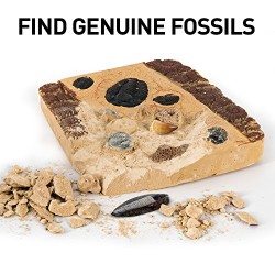 Mega Fossil Mine – Dig Up 15 Real Fossils with NATIONAL GEOGRAPHIC