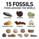 Mega Fossil Mine – Dig Up 15 Real Fossils with NATIONAL GEOGRAPHIC