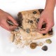 Mega Fossil Mine – Dig Up 15 Real Fossils with NATIONAL GEOGRAPHIC