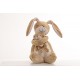 Guess How Much I Love You Lullaby Hare, By Rainbow Designs