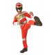 Rubie's Official Power Rangers Dino Charge Red Ranger Flat Chest, Children Costume