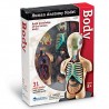 Learning Resources Anatomy Model