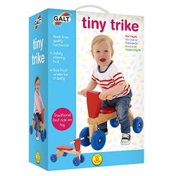 Galt Toys Tiny Wooden Trike