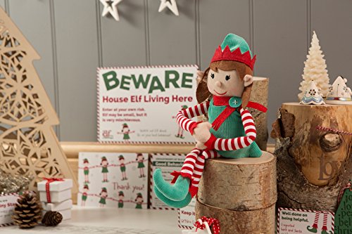 An Elf For Christmas ELF002 Girl Magical Reward Kit