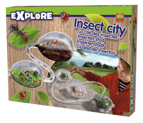 SES Explore Children's Insect City