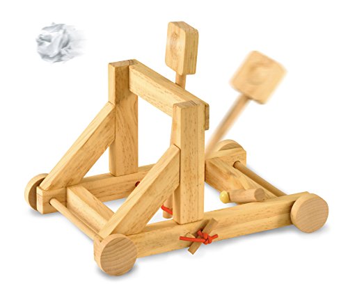 Wooden Catapult Craft Kit