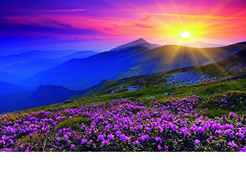 Ravensburger 196081 Nature Edition