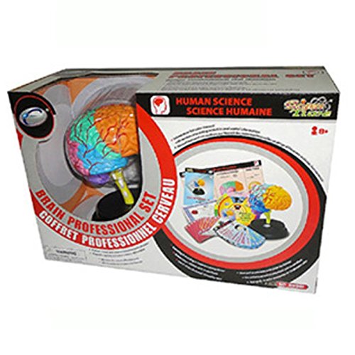 Eastcolight 29961 Brain Professional Set Eastcolight 29961 Brain Professional Set
