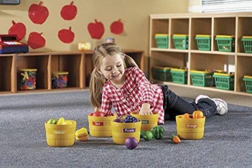 Learning Resources Farmer's Market Food Sorting Set