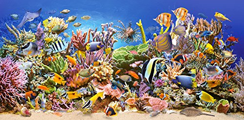 Castorland Underwater Life Jigsaw (4000 Castorland Underwater Life Jigsaw (4000