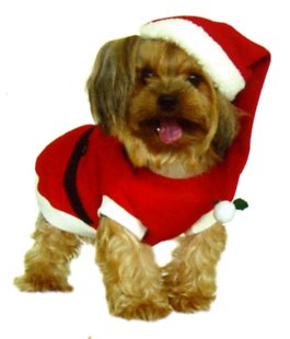 Dogs and Co Christmas Fancy Dress Costumes for Dogs Santa Outfit, 14