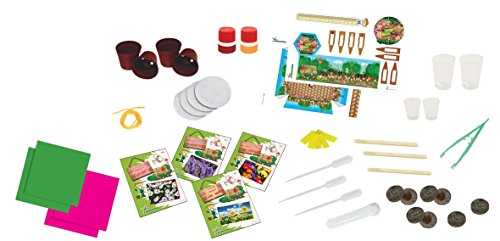 Science4You 484761 Flower Factory Toy