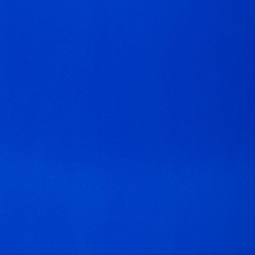 AmazonBasics 16 oz Disposable Plastic Cups (240 Pack), Blue AmazonBasics 16 oz Disposable Plastic Cups (240 Pack), Blue