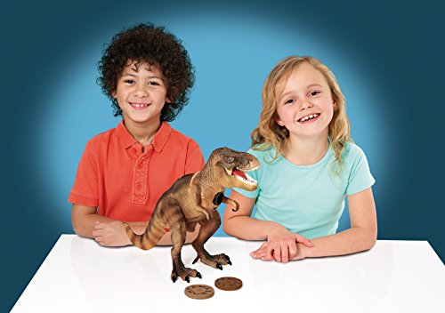 Brainstorm Toys T