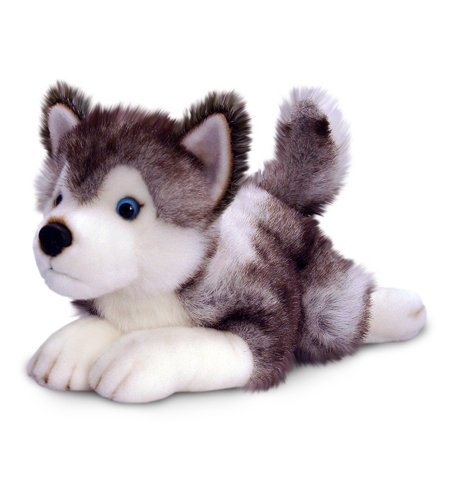 Keel Toys 50 cm Storm Husky